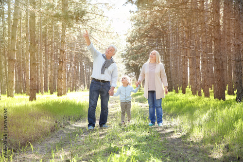 Happy grandparents with lit...