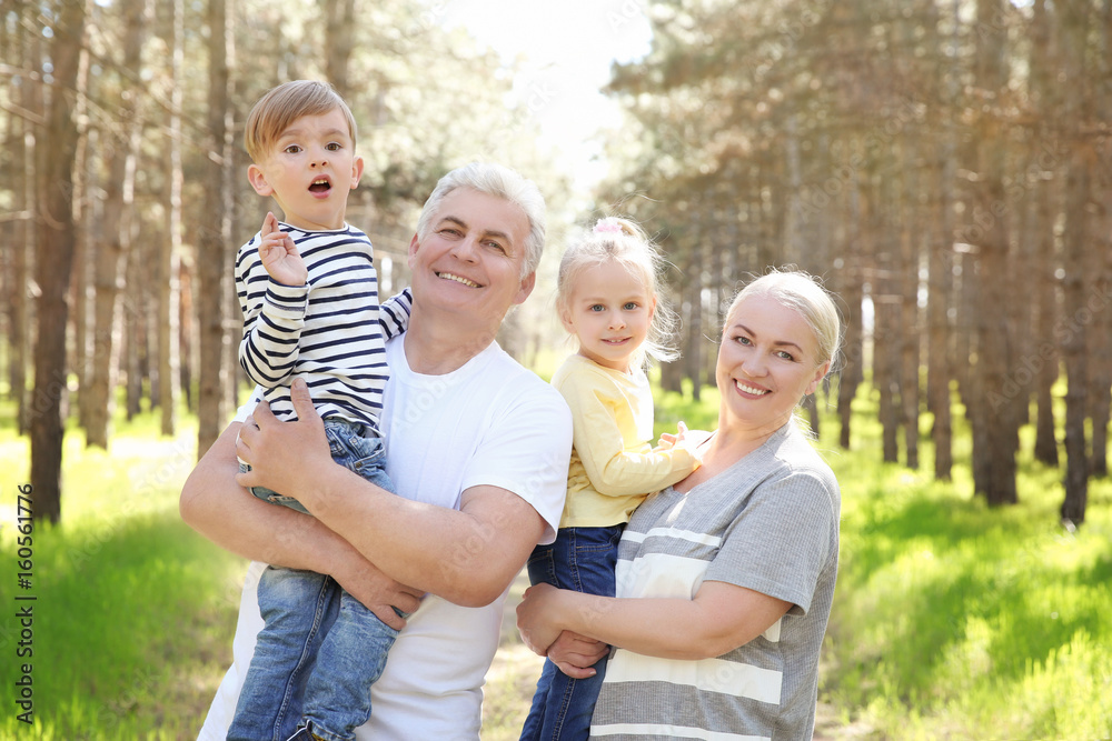 Fototapeta premium Happy grandparents with little children in forest on sunny day