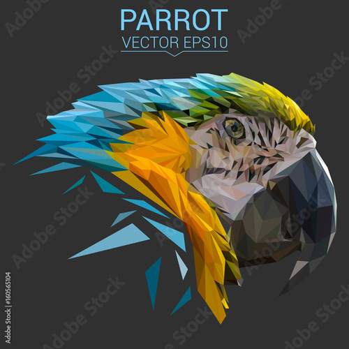 Parrot low poly design. Triangle vector illustration.