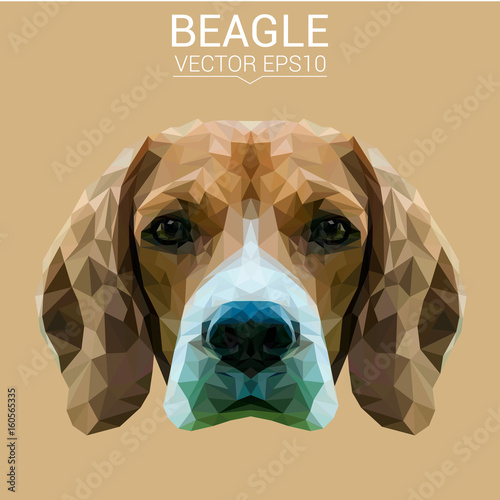 Beagle dog animal low poly design. Triangle vector illustration. photo
