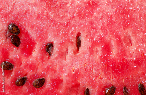 Detail of red melon