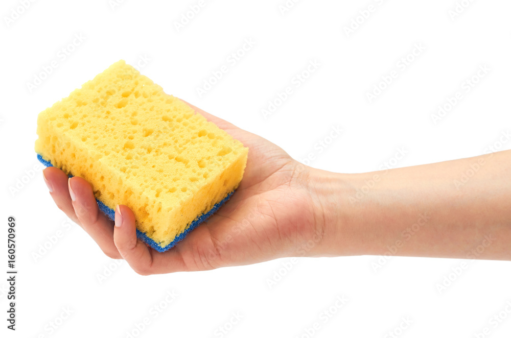 Female hand holds new and clean sponge for cleaning. Isolated on white background Female hand holds new and clean sponge for cleaning. Isolated on white background