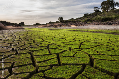 Dry lagoon. Photograph taken in the natural area of Barruecos. Malpartida of Caeres. Spain.