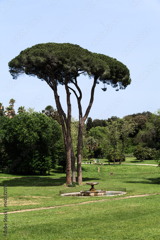 Obraz premium One of fontains in Villa Doria Pamphili