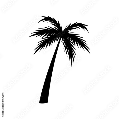 silhouette palm tree tropical natural vector illustration