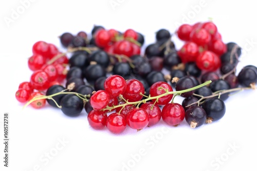 Black and red currants on a white background.