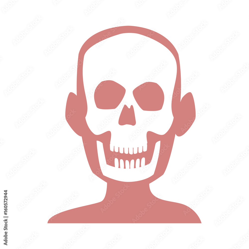 human skull skeleton x-ray medicine test vector illustration