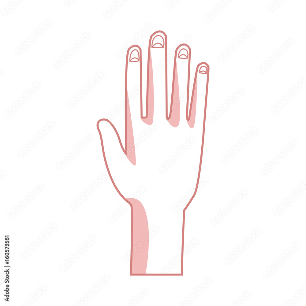 Fototapeta premium human hand palm show five finger vector illustration