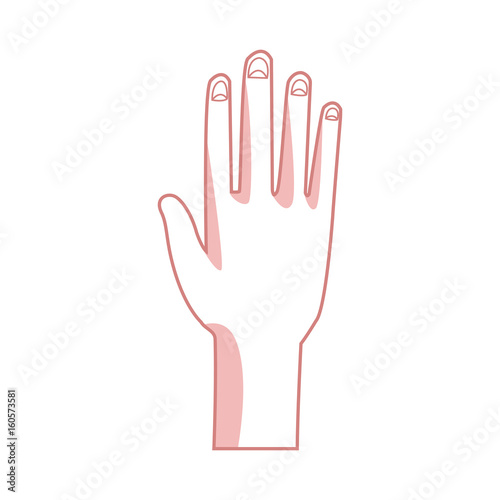 human hand palm show five finger vector illustration
