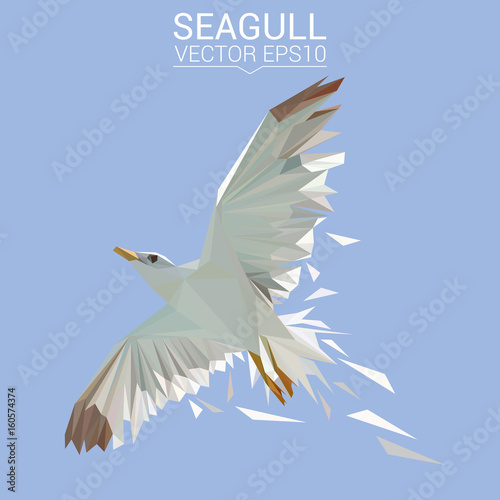 Seagull bird low poly design. Triangle vector illustration.