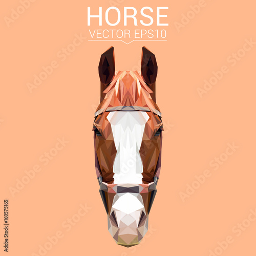 Horse low poly design. Triangle vector illustration.