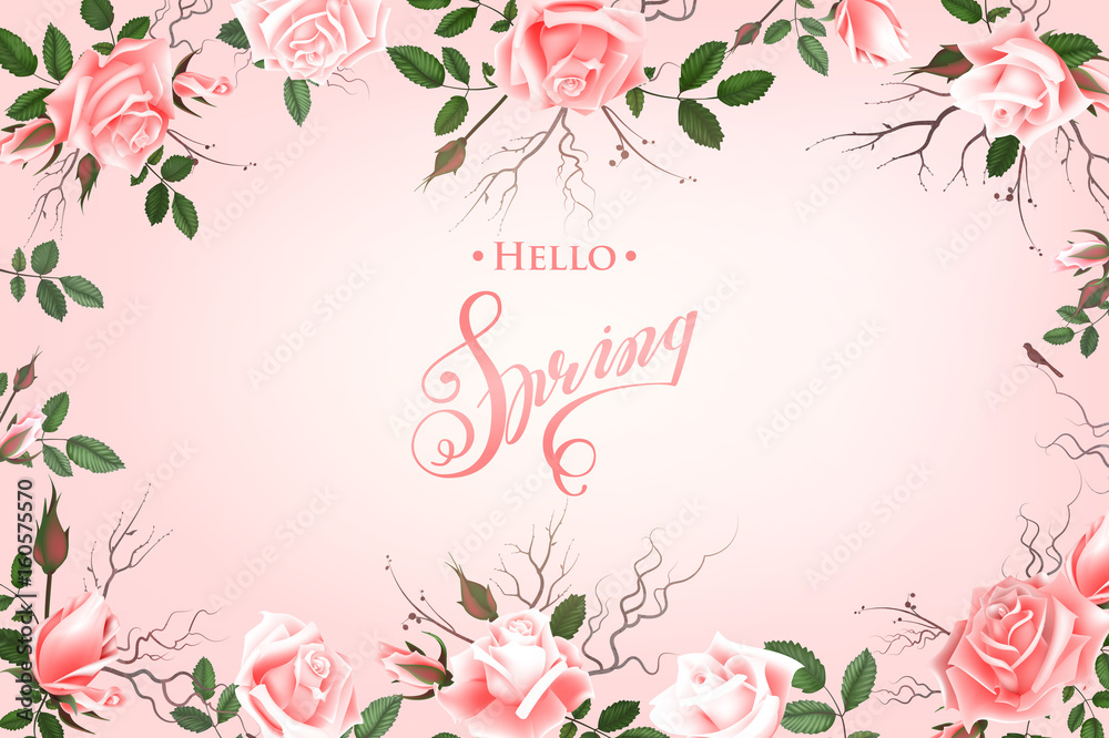 Hello Spring Background with Roses. Hand Drawn Lettering