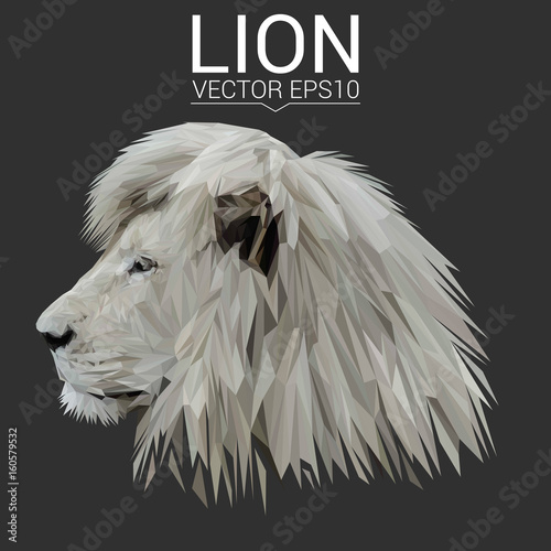 Lion low poly design. Triangle vector illustration.
