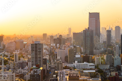 Cityscape of Tokyo, city aerial skyscraper view of office building and downtown of  modern busniess zone in  tokyo with sunset / sun rise background. Japan, Asia, 