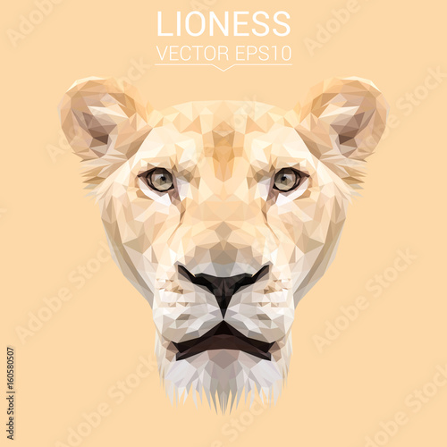 Fototapeta Naklejka Na Ścianę i Meble -  Lioness cat animal low poly design. Triangle vector illustration.