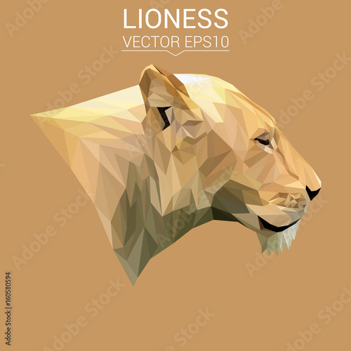 Fototapeta Naklejka Na Ścianę i Meble -  Lioness cat animal low poly design. Triangle vector illustration.