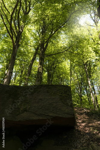 Auf dem Fernwanderweg Spessartweg photo