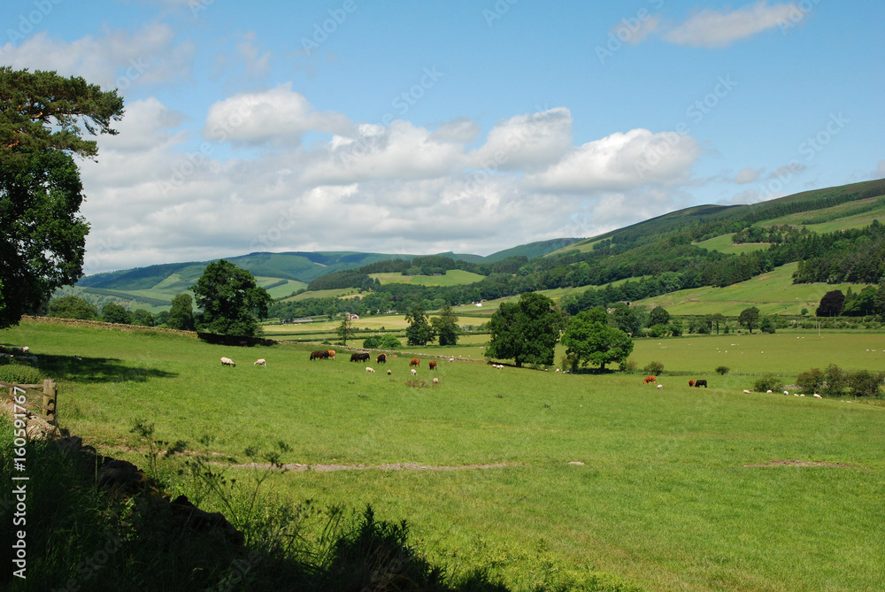 the Tweed valley near Traquair in Peebleshire