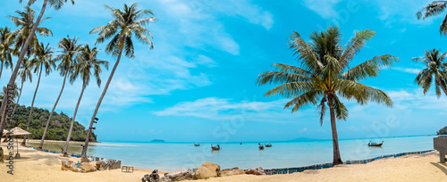 Fototapeta Naklejka Na Ścianę i Meble -  Palm and tropical beach Phi phi island Thailand