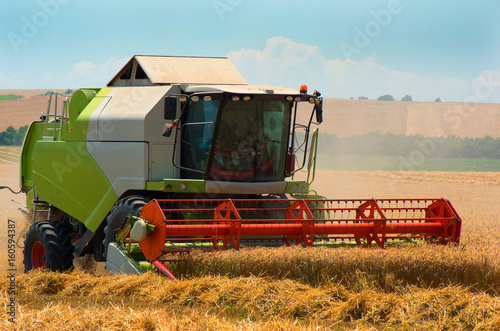 Grain harvesting with combine harvester. Wheat field.