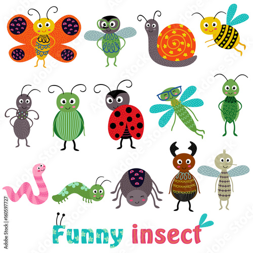 set of isolated with funny insect - vector illustration, eps