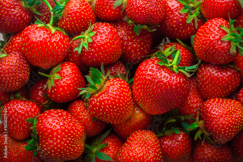 Obraz na płótnie Background from fresh red strawberries w salonie
