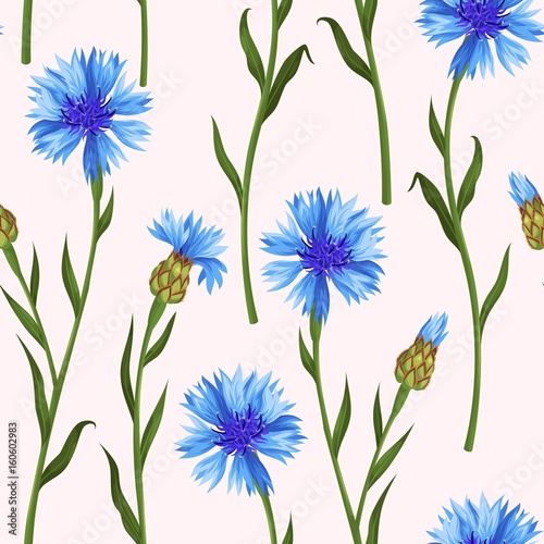 Seamless pattern with colorful cornflowers