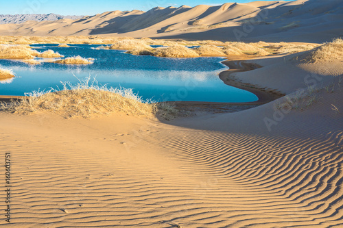 beautiful morning landscape of desert with little oasis   