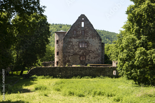 Ruine Schönrain im Spessart photo