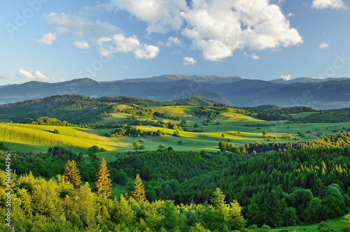 Spring forest and meadows landscape in Slovakia. Morning scenery near village Poniky. Fresh trees and pastures. Sunlit country.