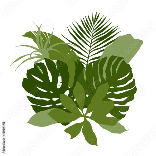 Green composition with plain tropical leaves