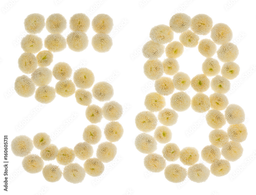 Arabic numeral 58, fifty eight, from cream flowers of chrysanthemum, isolated on white background Arabic numeral 58, fifty eight, from cream flowers of chrysanthemum, isolated on white background