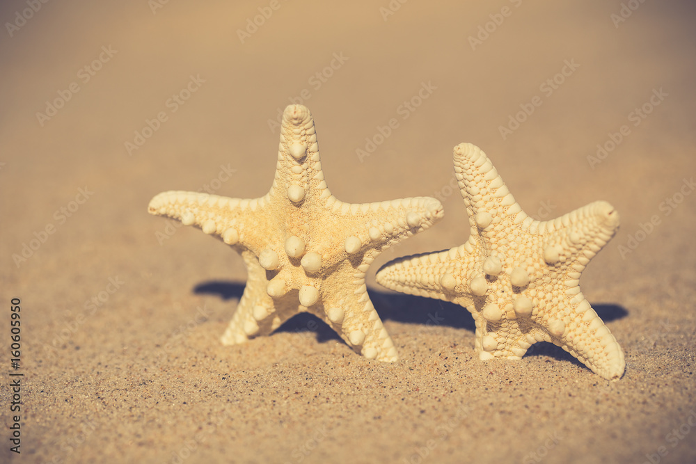 Summer beach with a starfish on a background. Summer beach background. Summer beach with a starfish on a background. Summer beach background.
