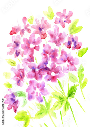 Fototapeta Watercolor vintage summer blooming bouquet