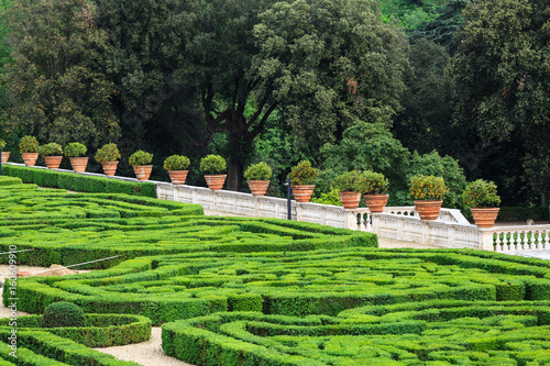 Flowerspots with decorative orange in Villa Doria Pamphili at Via Aurelia Antica photo