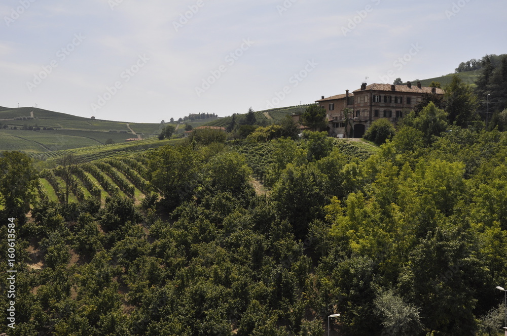 Naklejka premium Toskana im Sommer