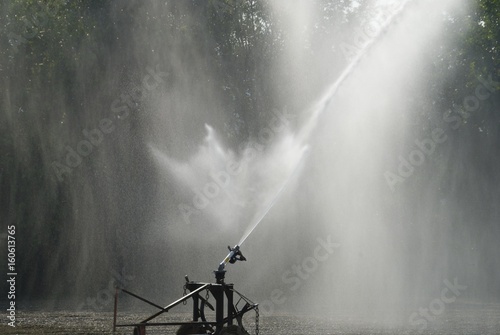 Obraz na plátně Irrigatore in azione