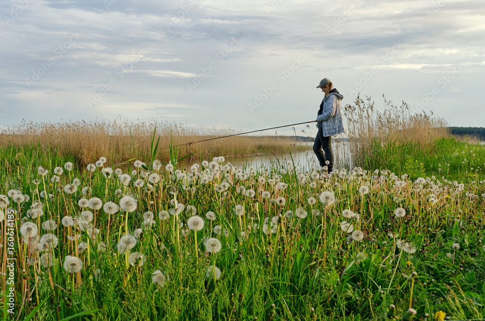 A female fisherman stands with a fishing rod on the shore of a pond. Waiting for a fish bite. In the foreground there is a glade of dandelions A female fisherman stands with a fishing rod on the shore of a pond. Waiting for a fish bite. In the foreground there is a glade of dandelions