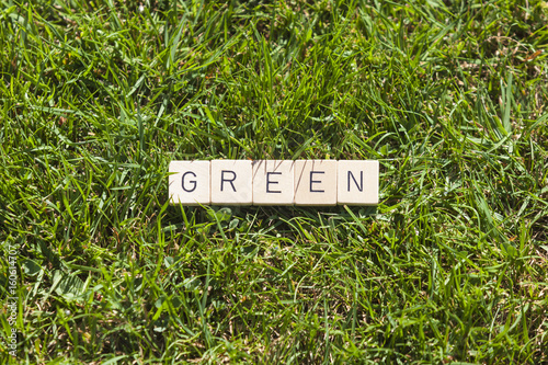 scrabble tiles lying on grass in the garden