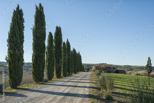 VAL D`ORCIA, TUSCANY-ITALY, OCTOBER 30, 2016: Farmhouse and cypress in the scenic Tuscany landscape with rolling hills and valleys in autumn, Val d'Orcia, Italy