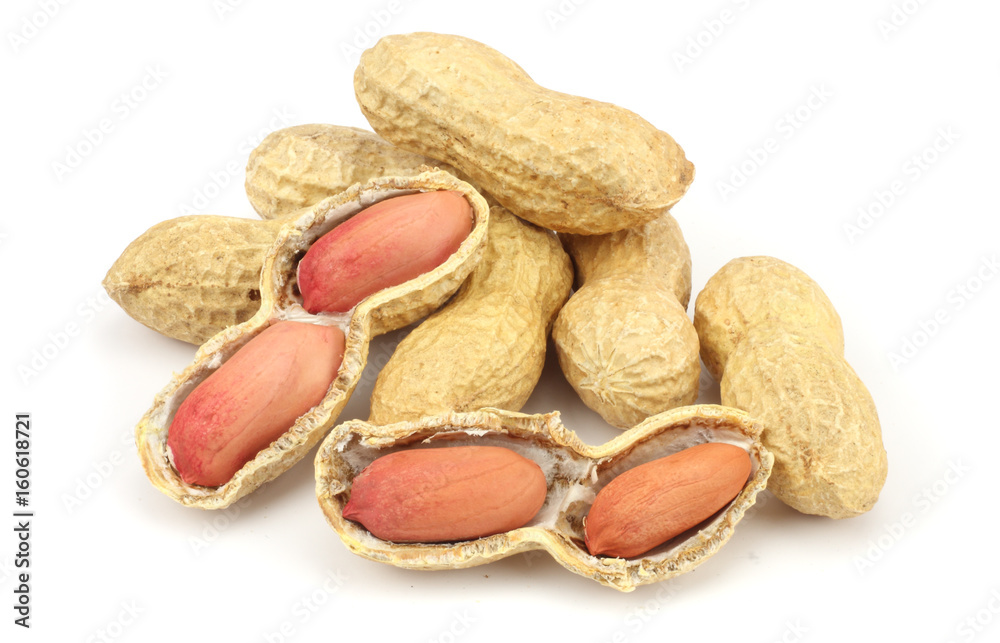 peanuts isolated on the white background peanuts isolated on the white background