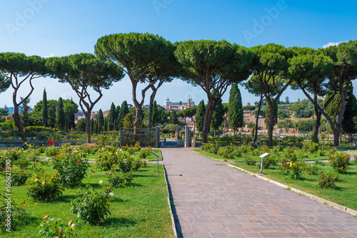 Rome (Italy) - The touristic Municipal Roses, on the Aventino hill in the center of Rome; open during the spring and summer, hosts many species of roses.