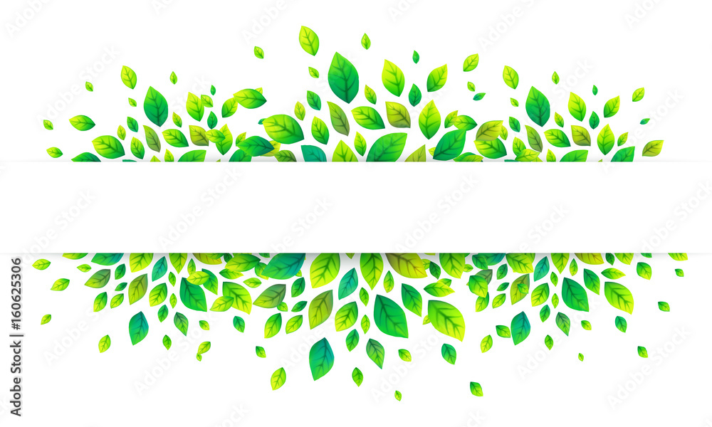 White paper stripe banner on green summer leaves vector