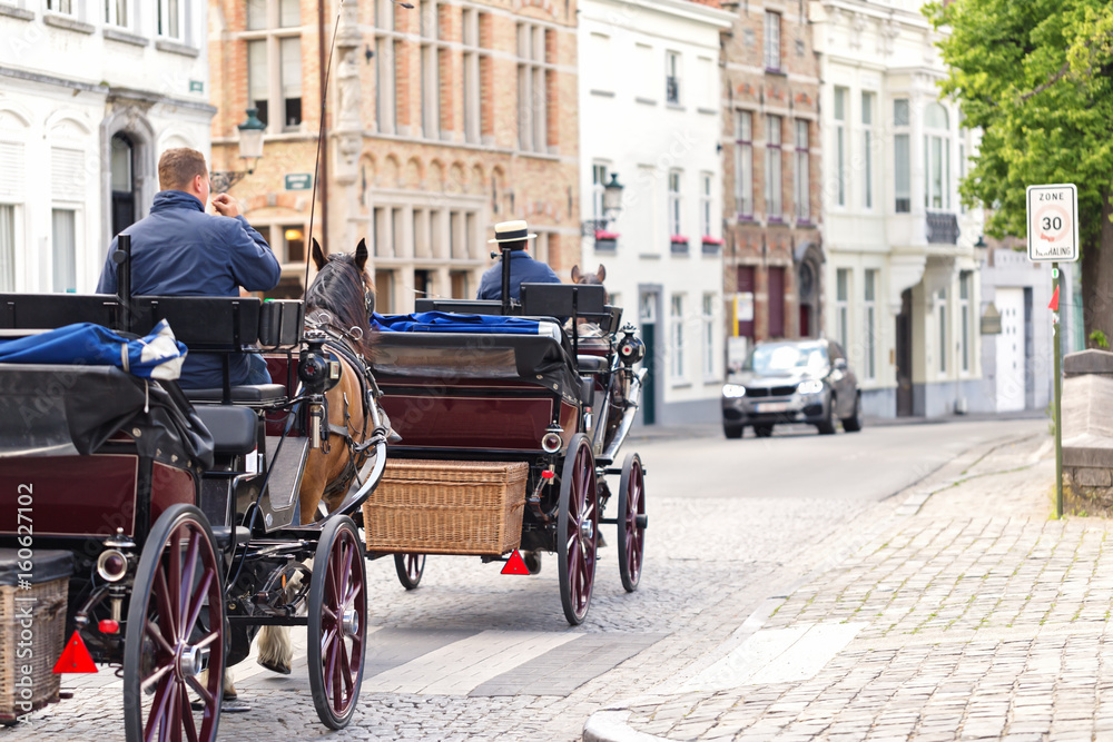 Horse crews on street of Bruges, Belgium