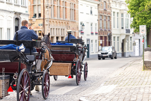 Horse crews on street of Bruges, Belgium