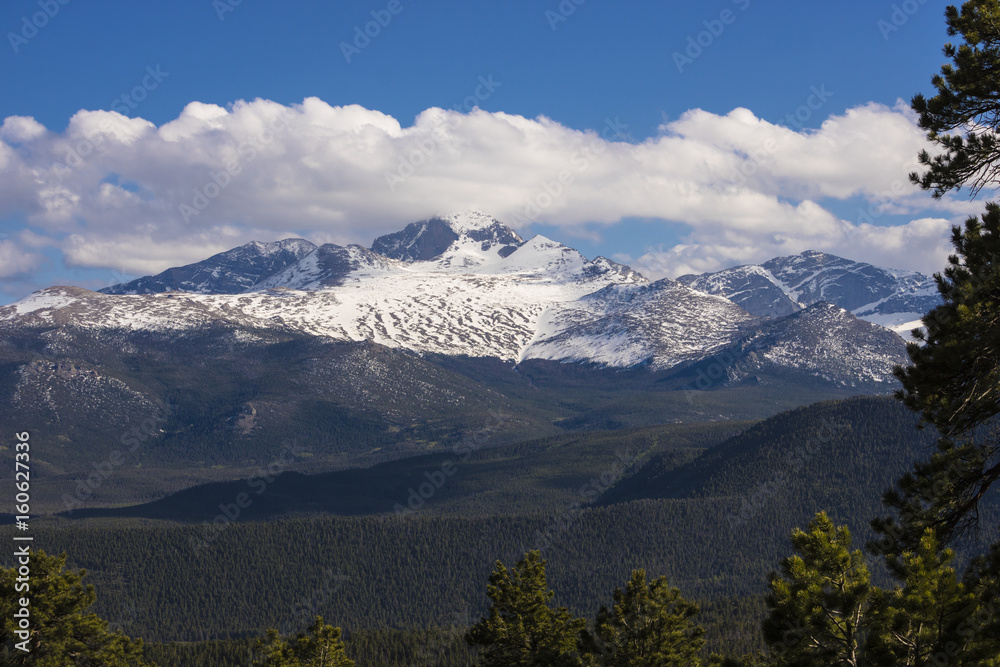 Fototapeta premium Mountains and forest of Rocky Mountain National Park