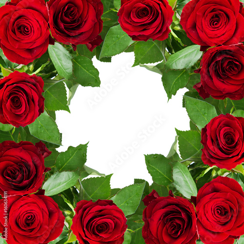 Red rose flowers frame