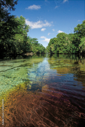 Εκτύπωση καμβά Clear spring water flows into the tannic brown Santa Fe River.