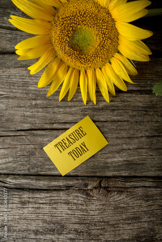 Treasure today text on yellow greeting card