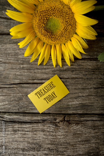 Fototapeta Naklejka Na Ścianę i Meble -  Treasure today text on yellow greeting card